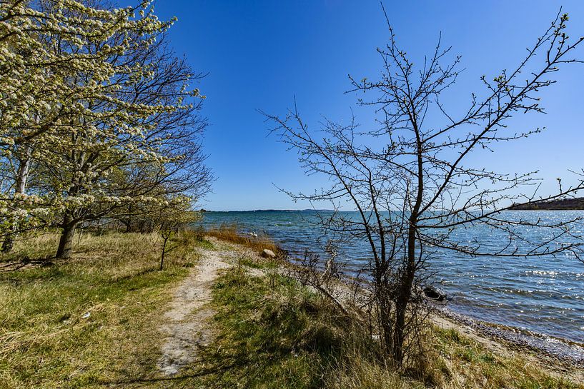 Am Ufer in der Goor, Insel Vilm, Lauterbach auf Rügen von GH Foto & Artdesign