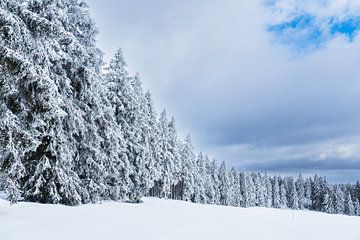 Landscape in winter in the Thuringian Forest near Schmied by Rico Ködder