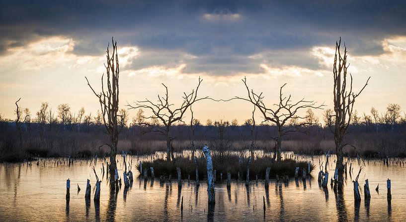 Magical landscape wetland nature reserve  during sunset by Ger Beekes