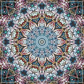 Riverside Magnolia by Frans Blok - photos, art and other wall decoration