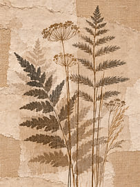 Stijlvolle Botanische Collage met Varen en Schermbloemen