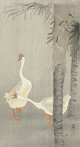 Zahme Gänse im Regen von Ohara Koson