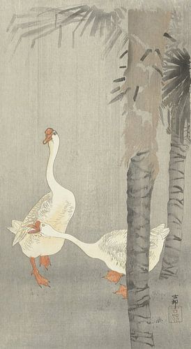 Tamme ganzen in regen van Ohara Koson