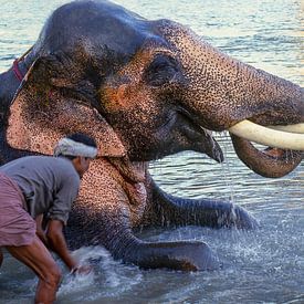 Éléphant dans une rivière avec son cornac, en Inde sur Jan Fritz