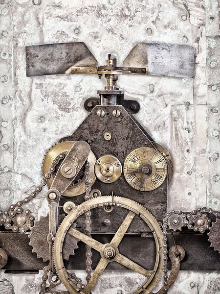 Leonardo Da Vinci's Flugmaschine von Martin Bergsma