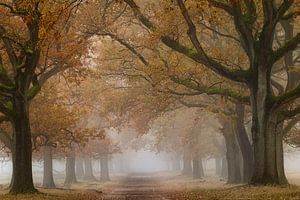 Destination Fall