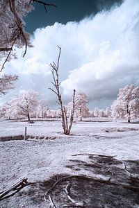 Infrarot-Landschaft mit beeindruckendem Himmel von Gea Veenstra