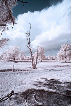 infrared landscape with impressive sky