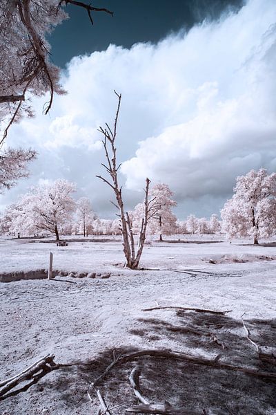 infrarood landschap met indrukwekkende lucht van Gea Veenstra