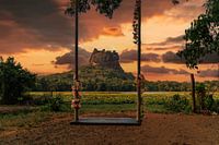 Sigiriya (Löwenfelsen) - die ikonische Felsenfestung mit Fresken und atemberaubender Aussicht.