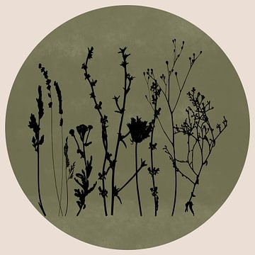 Scandinavian Meadow Minimalist Wildflowers in Sage Green no. 7 by Dina Dankers