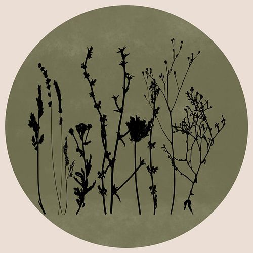 Scandinavian Meadow Minimalist Wildflowers in Sage Green nr. 7