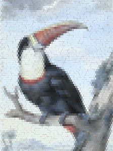 Pixel Art: Vögel