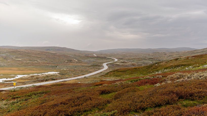 Riksvei 7 Hardangervidda par Rob Liefveld