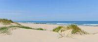Summer beach panorama with sand dunes and blue sky