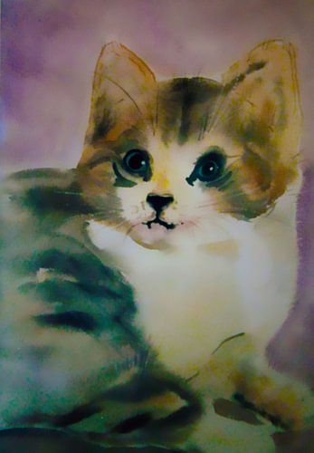 katze