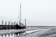 Low tide in the harbor of De Cocksdorp on Texel by Sjoerd van der Wal Photography thumbnail