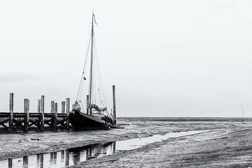 Laag water in de haven