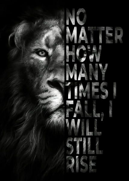 Löwe Tier Motivation von Quotes Motivation