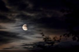 Maansverduistering von André Dorst