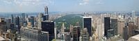 New York panorama von Carel van der Lippe Miniaturansicht