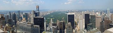 New York panorama van Carel van der Lippe