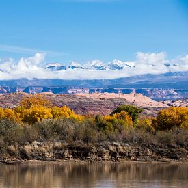 Couleurs d'automne le long du fleuve Colorado sur Jan-Thijs Menger