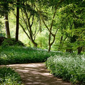 Badgerchives im Amsterdamer Wald von Merel Pape Photography