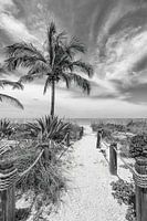 Alleen op het strand | Monochroom