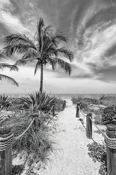 Alleen op het strand | Monochroom van Melanie Viola