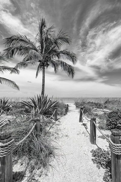Alone at the beach | monochrome by Melanie Viola