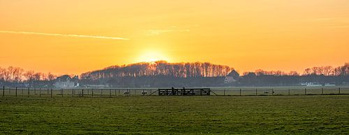 Panorama Doolhof en Hogeberg op Texel.