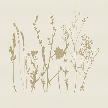 Lavendel en kruiden in beige op crème van Dina Dankers