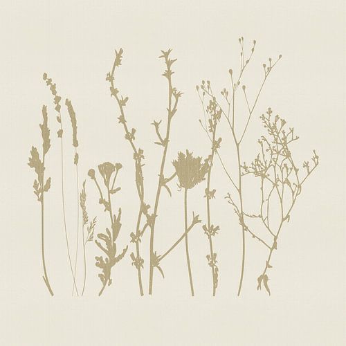 Lavendel en kruiden in beige op crème