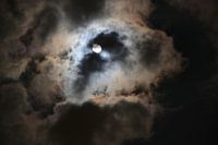 Moonlight.
