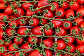 Tomaten 1.0