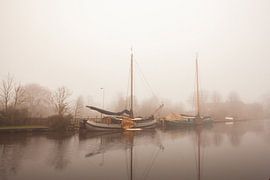 Ripening in the morning by Erwin de Zwart