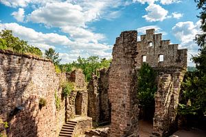 Ruines du château de Zavelstein