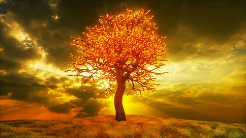 Ein orange strahlender Baum