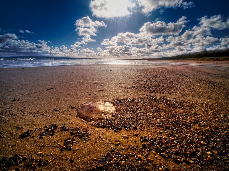 Strandgut von Oliver Schepp