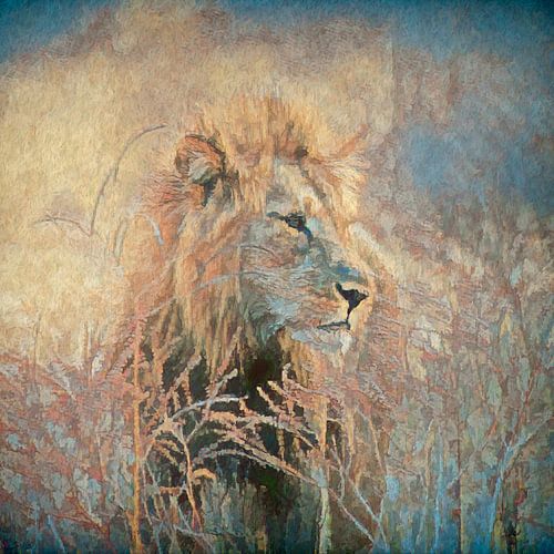 Lion in tall grass.