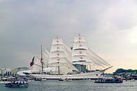 Sail Amsterdam 2015 van Marianna Pobedimova thumbnail