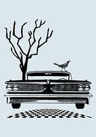 The black car