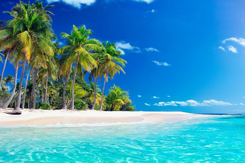 Tropical white beach with palm trees by JW Does