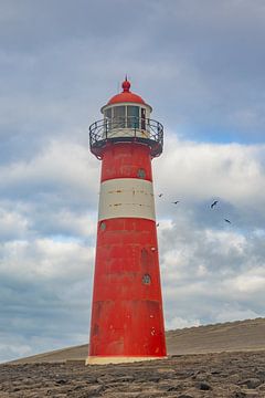 Noorderhoofd lighthouse near Westkapelle (NL) with birds by Ingrid Bergmann  Fotografie
