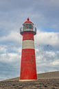 Noorderhoofd lighthouse near Westkapelle (NL) with birds by Ingrid Bergmann  Fotografie thumbnail