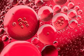 Oil and water. Colourful background