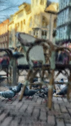 Stadsvogels onder de terrasstoelen