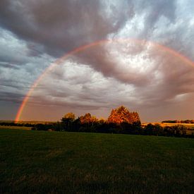 rainbow sur benjamin Gilson