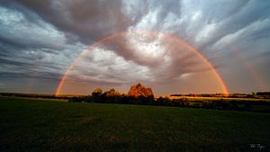 regenboog van benjamin Gilson